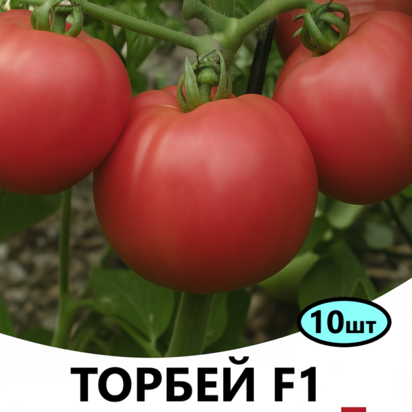 Томат Торбей F1 Bejo
