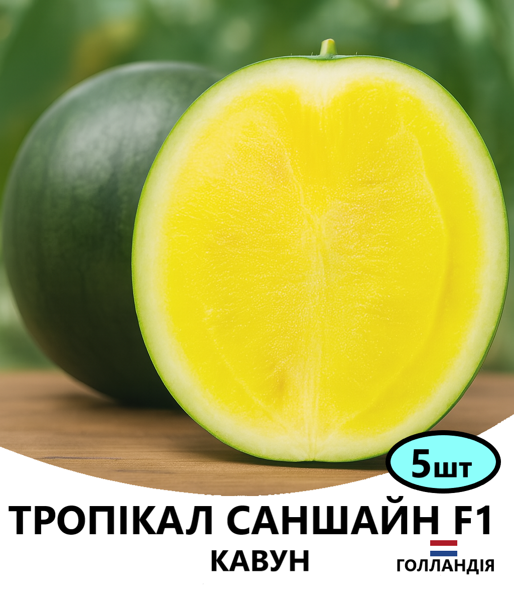 ТРОП.САНШ5