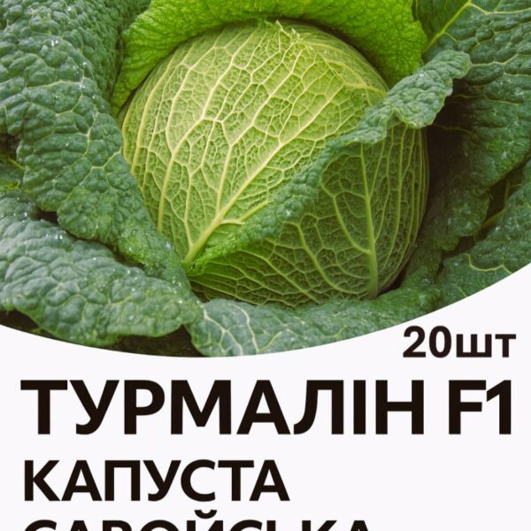 Капуста Турмалін F1 Hazera