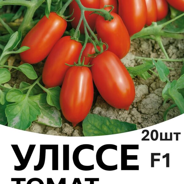 Томат УЛІСЕ F1 Syngenta