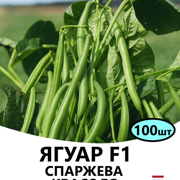 Спаржева квасоля Ягуар F1 HAZERA – 100шт