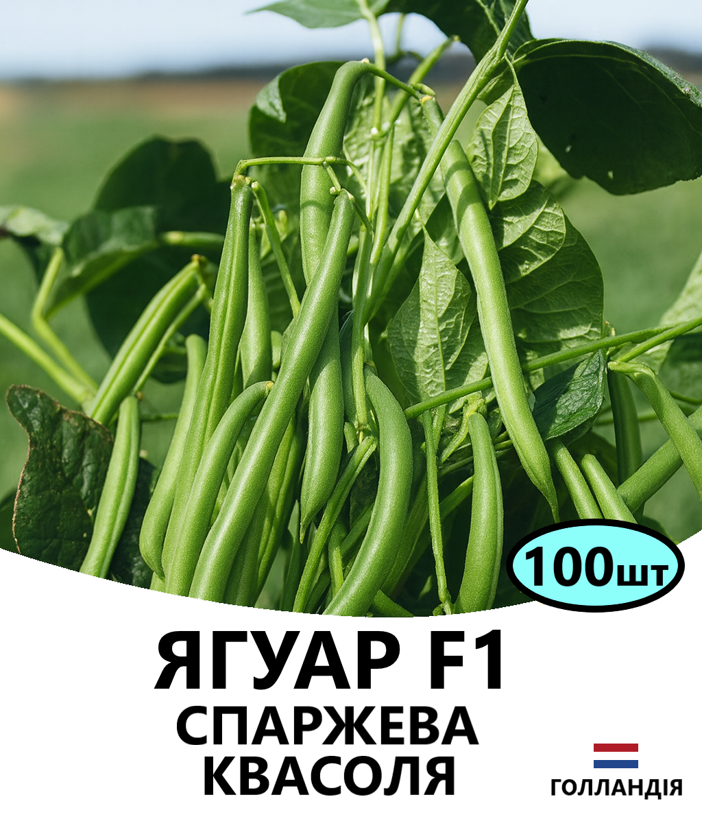ЯГУАР.
