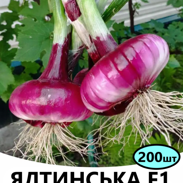 Цибуля Ялтинська F1 Breeding Seeds- 200шт