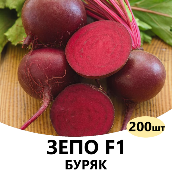 Буряк Зепо F1 Rijk Zwaan – 200шт.