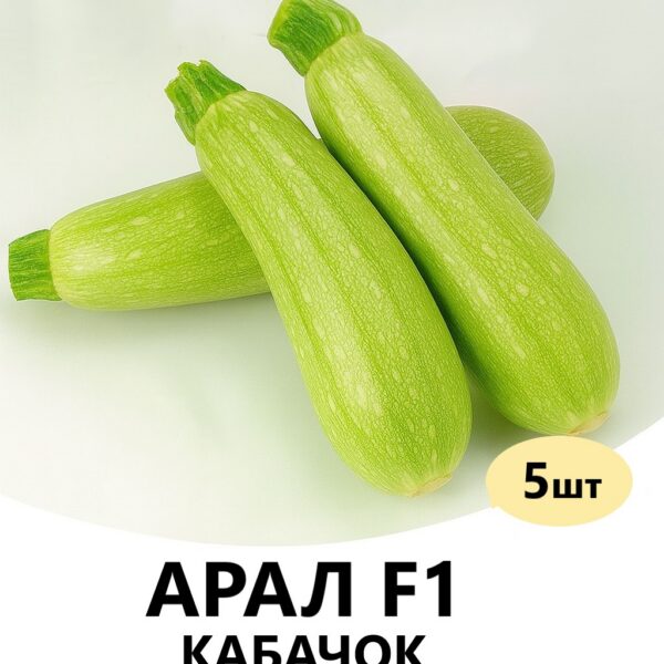 Kабачок Арал F1 SAKATA