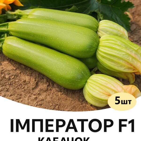 Kабачок Імператор F1 SAKATA