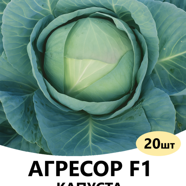 Капуста Агресор F1 Syngenta