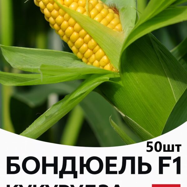 Кукурудза Бондюелька F1 SYNGENTA