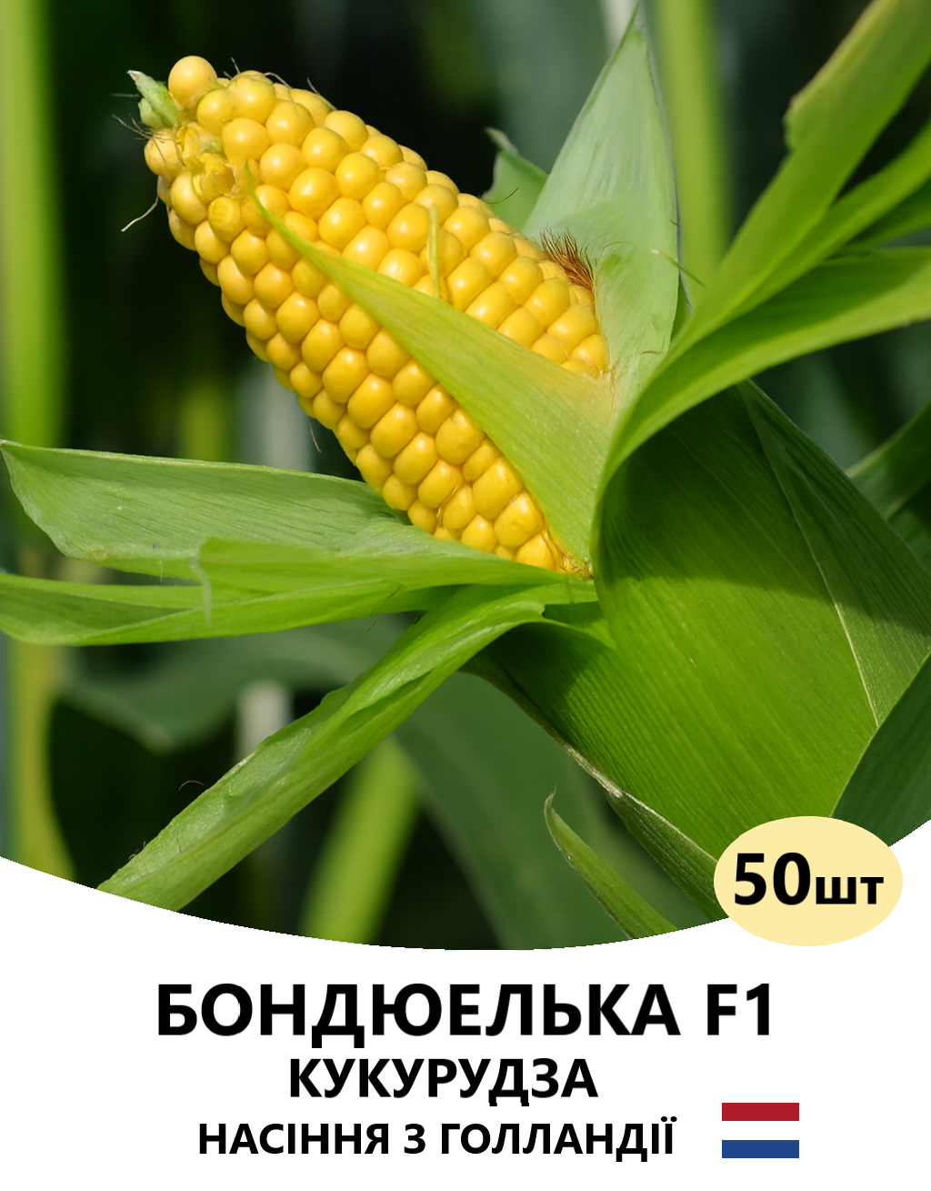 БОНДЮЕЛЬ 50