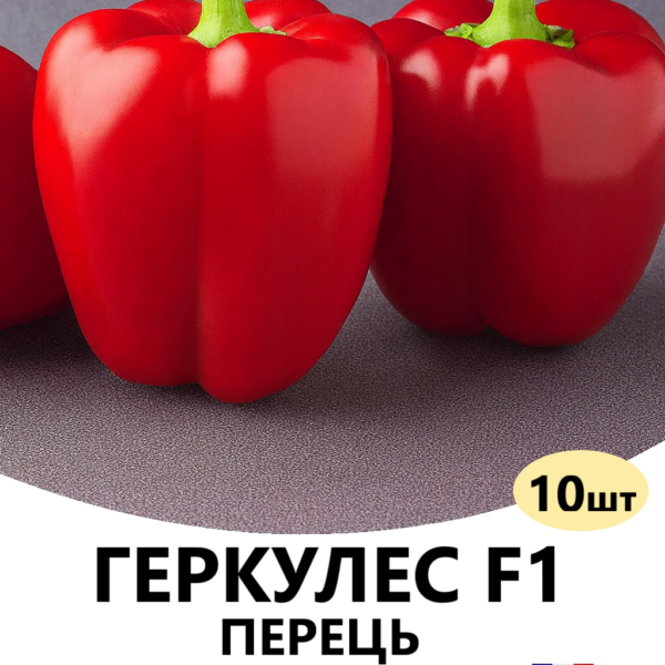 Перець Геркулес F1 CLAUSE – 10шт