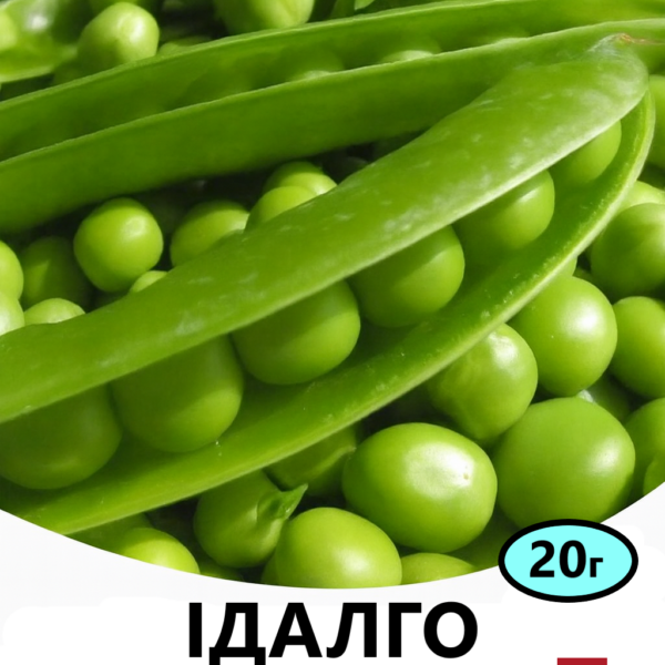 Горох Ідалго SYNGENTA – 20г
