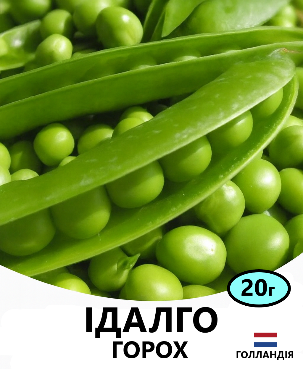 ІДАЛГО 20
