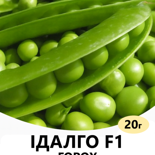 Горох Ідалго F1 SYNGENTA – 20г