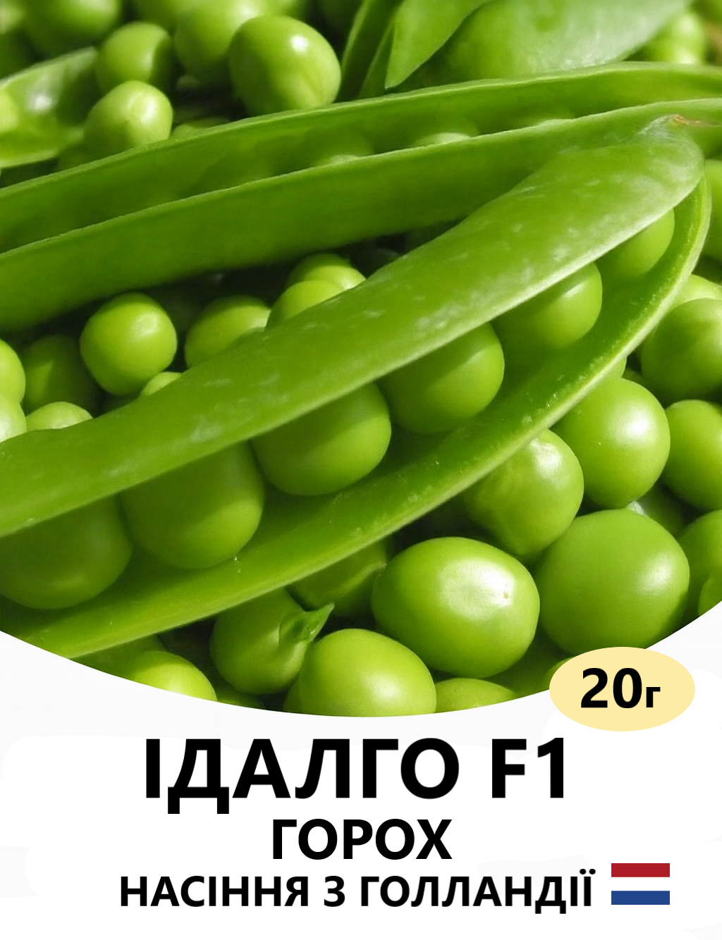 ІДАЛГО 20