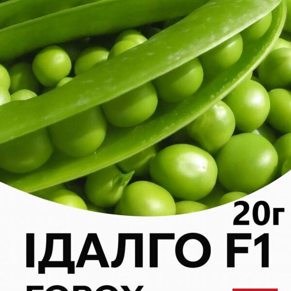 Горох Ідалго F1 SYNGENTA