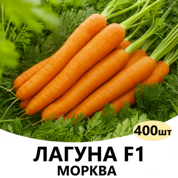 Морква Лагуна F1 NUNHEMS – 400шт