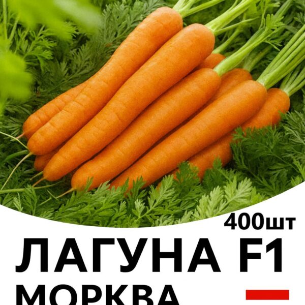 Морква Лагуна F1 NUNHEMS