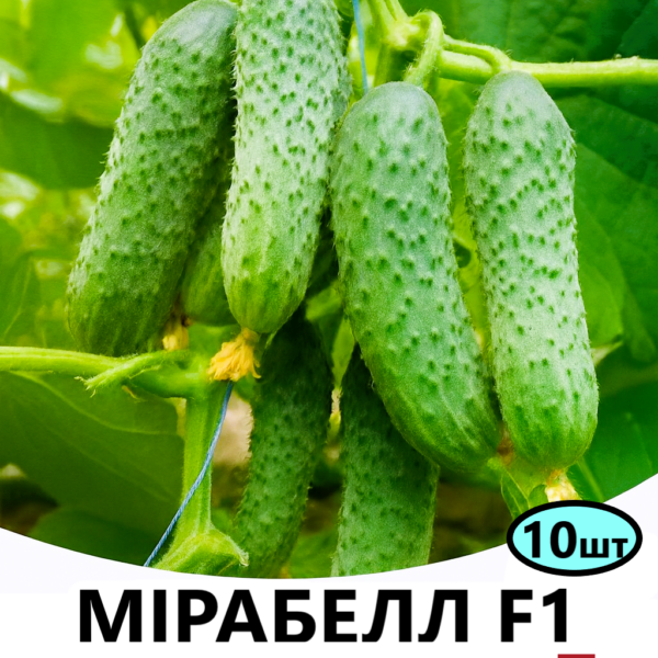 Огірок Мірабелл F1 SEMINIS – 10шт