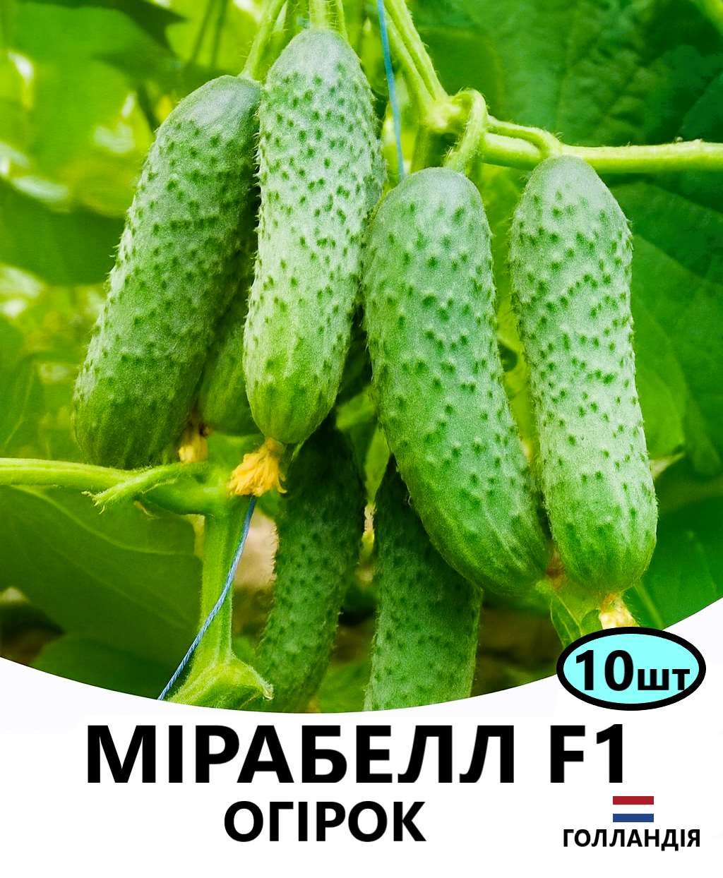 МІРАБЕЛЛ 10