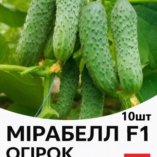 Огірок Мірабелл F1 SEMINIS