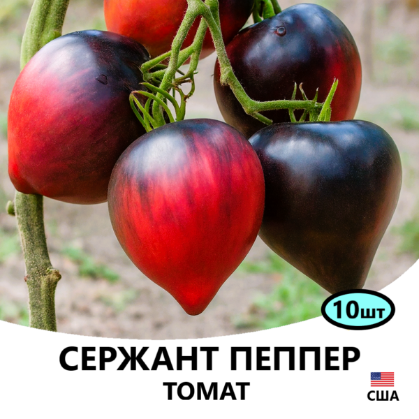 Томат Сержант Пеппер BREEDING SEED