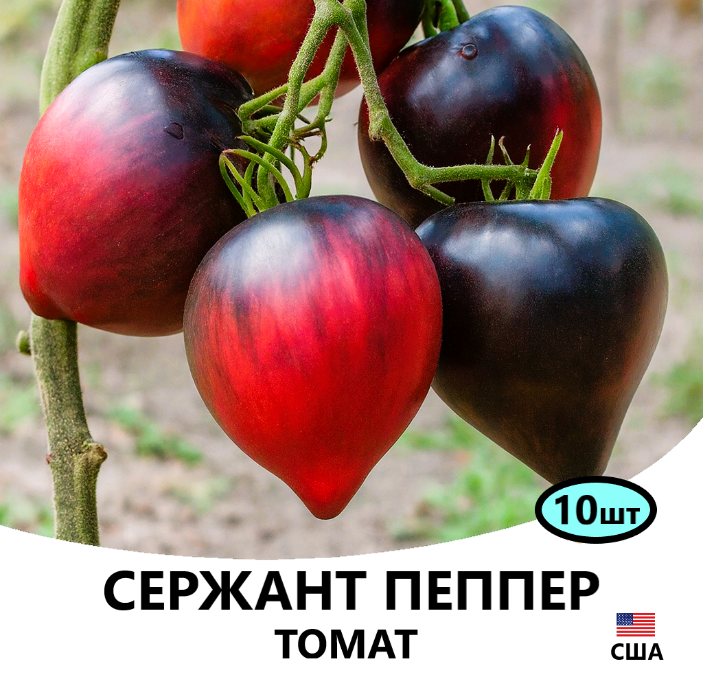 СЕРЖ.ПЕППЕР10