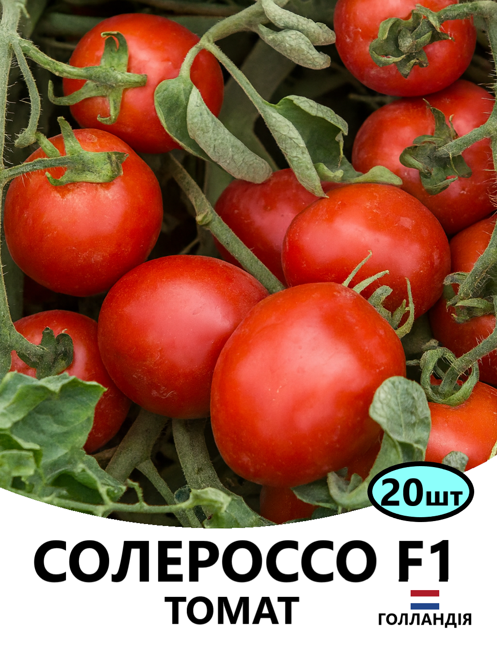 СОЛЕРОССО20