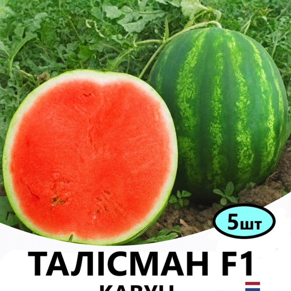 Кавун Талісман F1 NUNHEMS