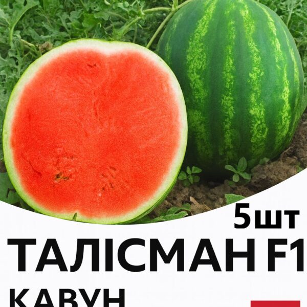 Кавун Талісман F1 NUNHEMS