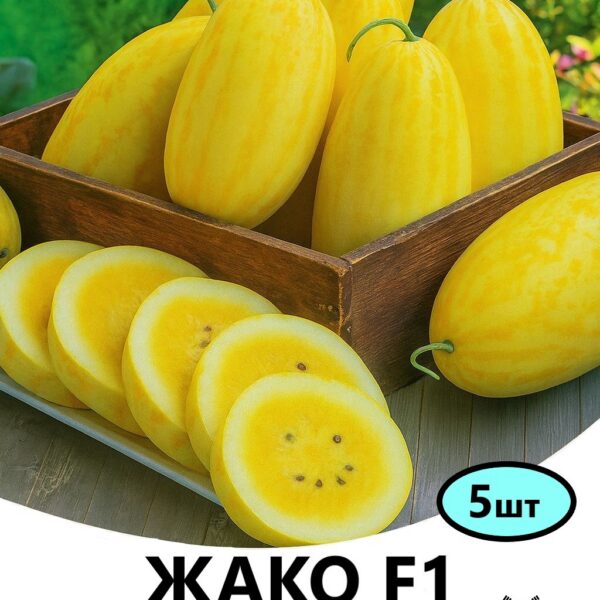 Кавун Жако F1 Asia Seed – 5шт