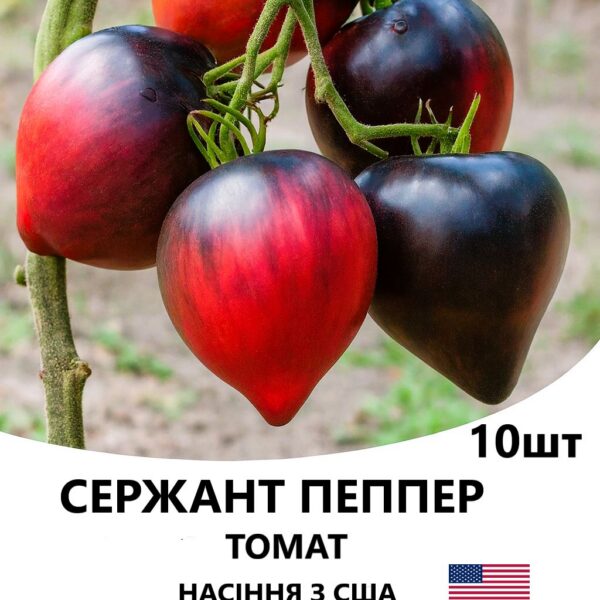 Томат Сержант Пеппер BREEDING SEED
