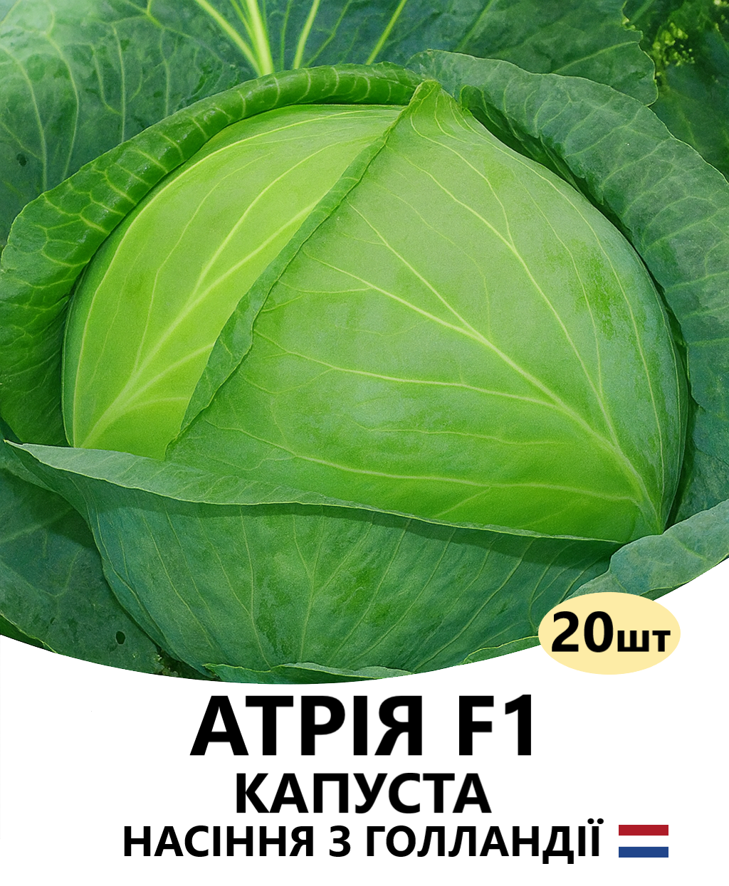 АТРІЯ 20