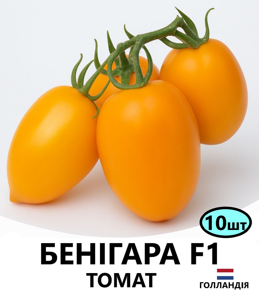 бенігара 10
