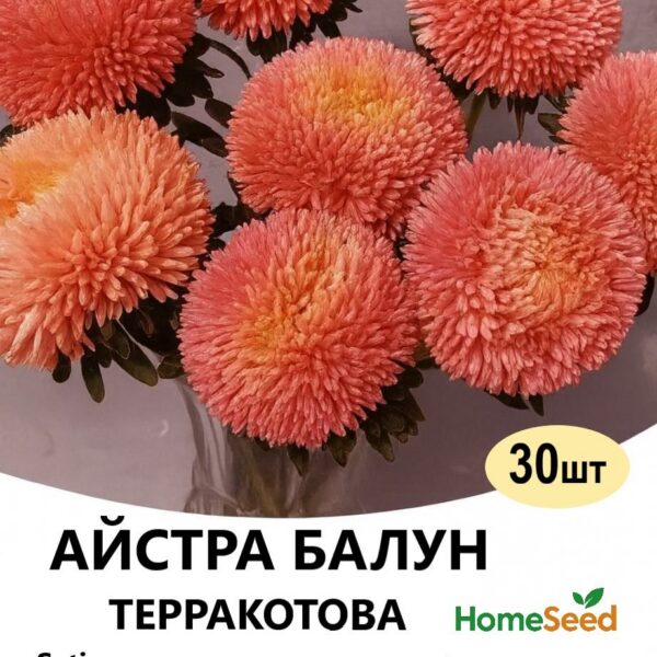 Насіння айстри Балун Терракотова 30 шт (Satimex)
