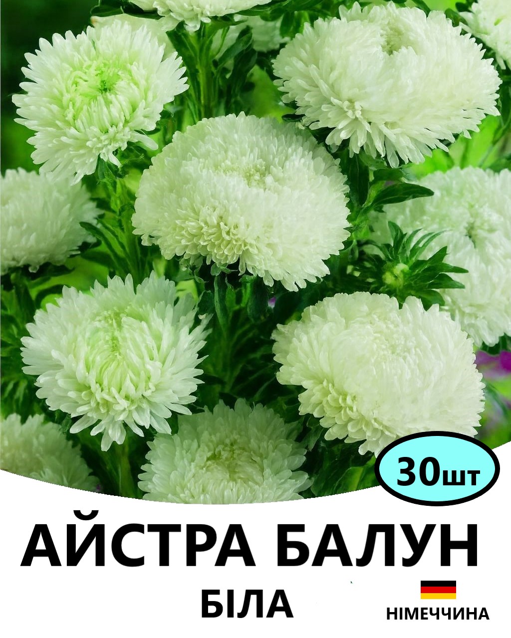 БАЛУН БІЛА