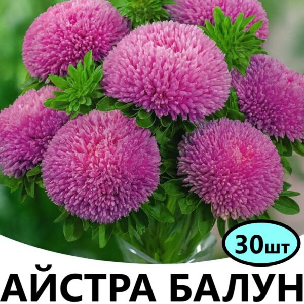 Насіння айстри Балун Рожева 30 шт (Satimex)
