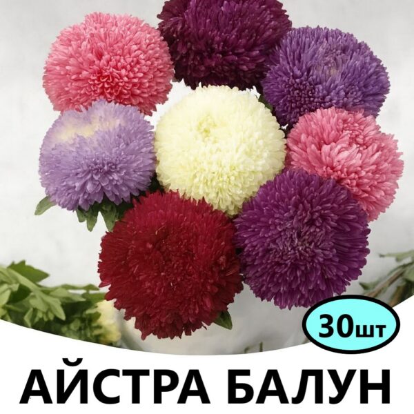 Насіння айстри Балун Суміш 30 шт (Satimex)
