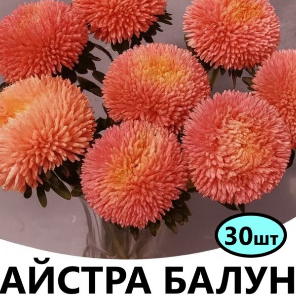 Насіння айстри Балун Терракотова 30 шт (Satimex)