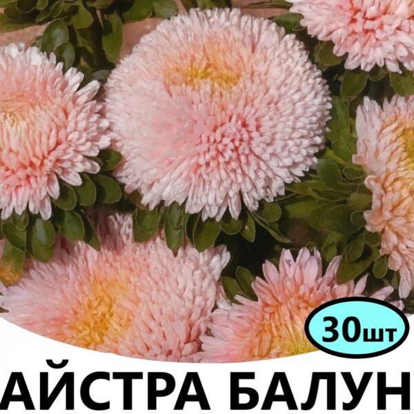 Насіння айстри Балун Яблуневий Цвіт 30 шт (Satimex)