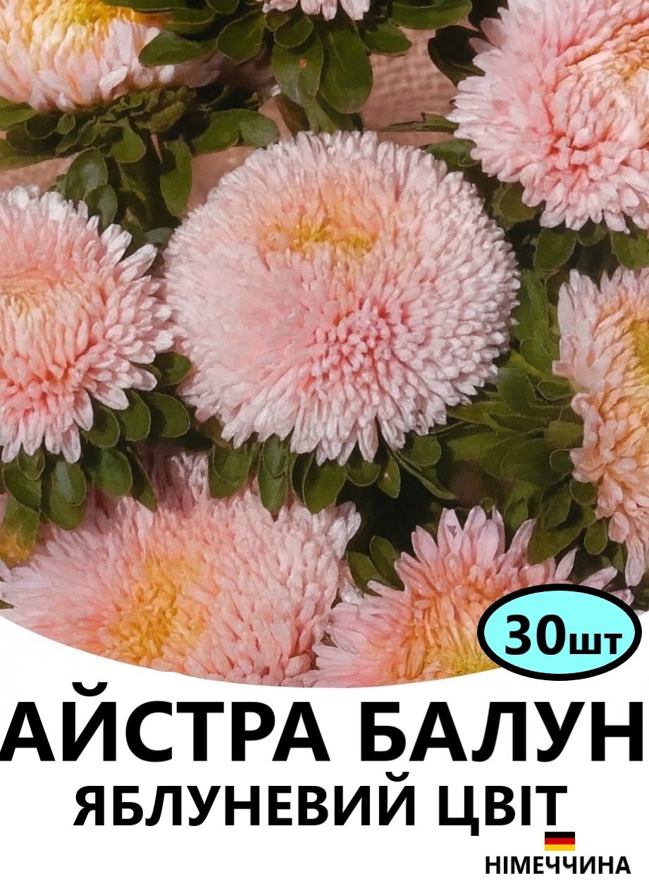 БАЛУН яблуневий цвіт