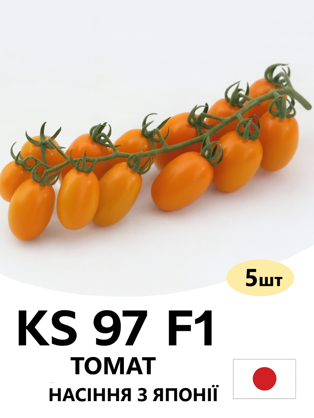 KS 97