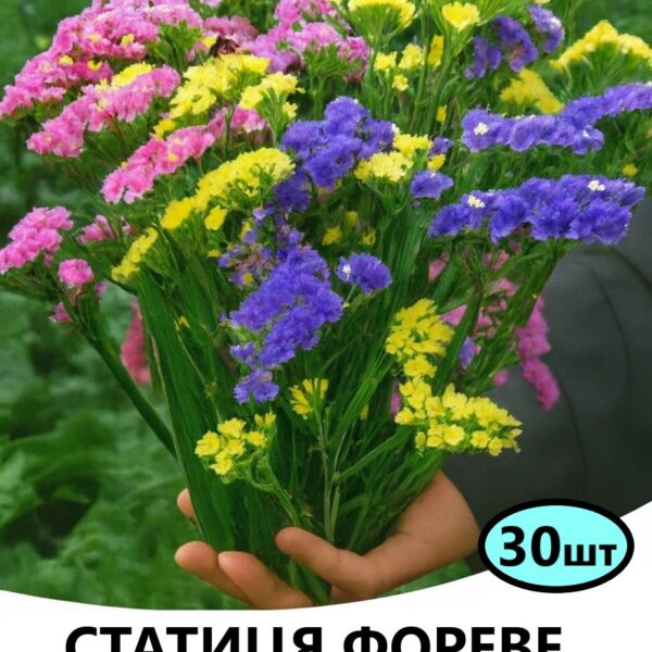 Насіння статиці Фореве Суміш без білого кольору 30 шт (Takii Seed)