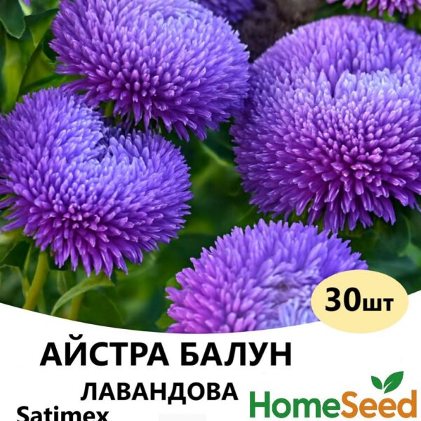Насіння айстри Балун Лавандова 30 шт (Satimex)