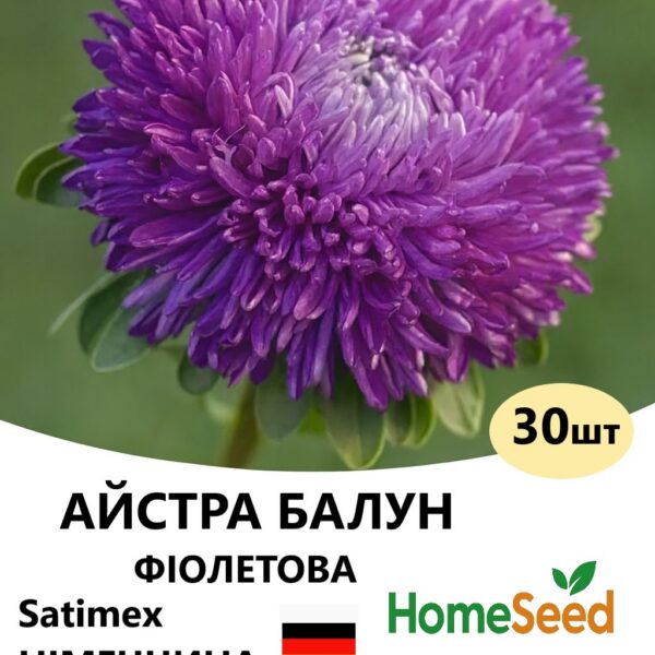 Насіння айстри Балун Фіолетова 30 шт (Satimex)