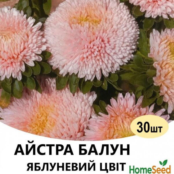 Насіння айстри Балун Яблуневий Цвіт 30 шт (Satimex)