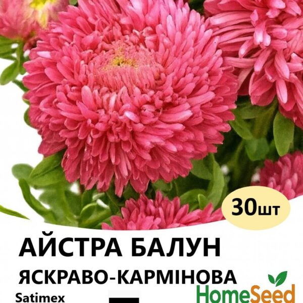 Насіння айстри Балун Яскраво – Кармінова 30 шт (Satimex)