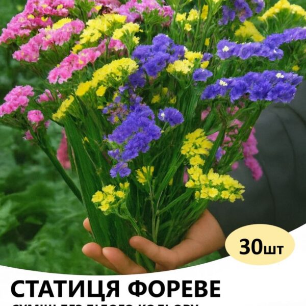 Насіння статиці Фореве Суміш без білого кольору 30 шт (Takii Seed)