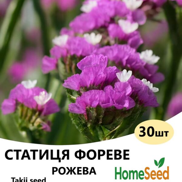 Насіння статиці Фореве Рожева 30 шт (Takii Seed)