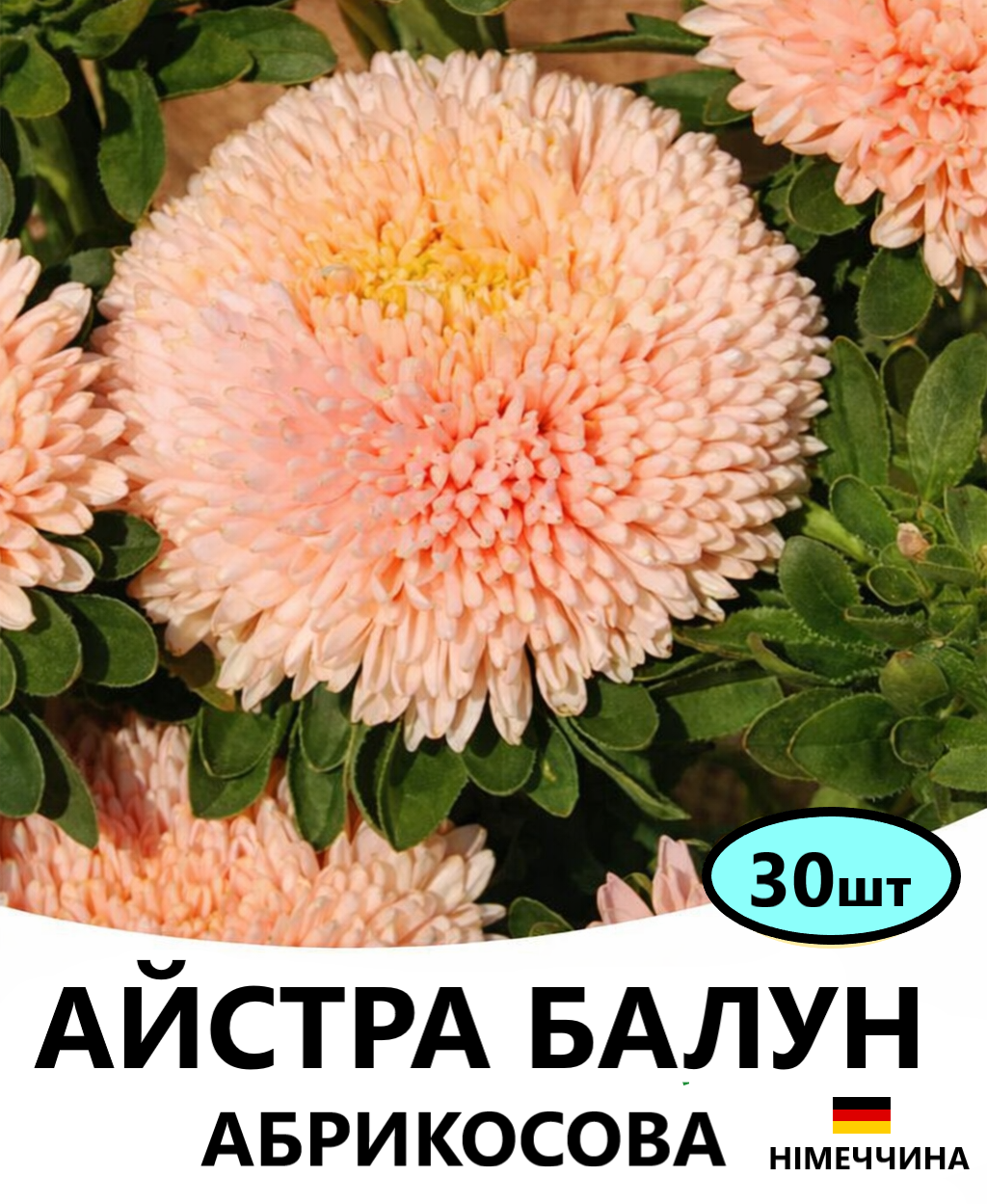 БАЛУН АБРИКОСОВА.