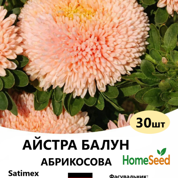 Насіння айстри Балун Абрикосова 30 шт (Satimex)